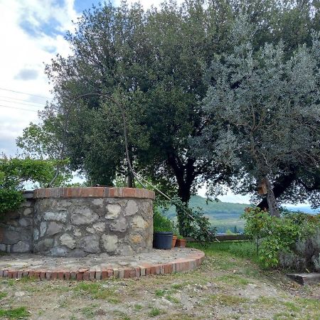 Agriturismo Riparossa Allerona Екстериор снимка