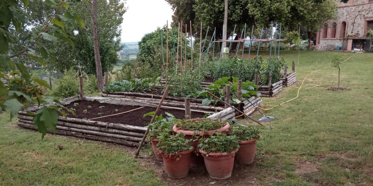 Agriturismo Riparossa Allerona Екстериор снимка