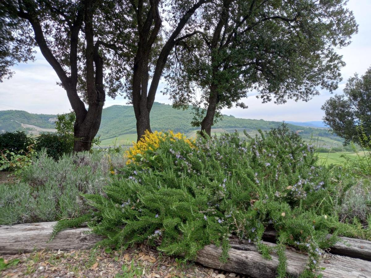 Agriturismo Riparossa Allerona Екстериор снимка