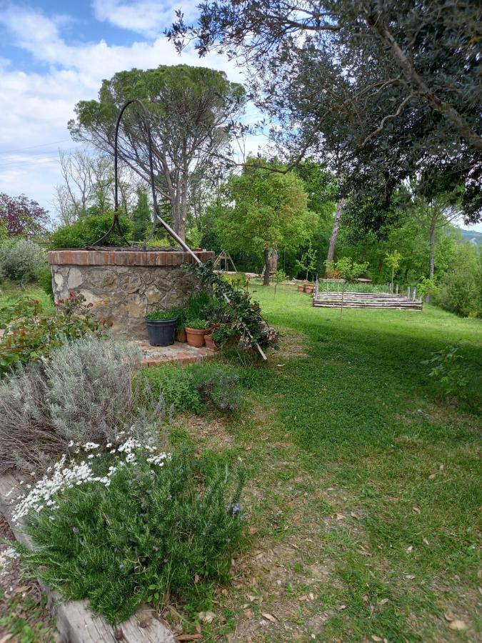 Agriturismo Riparossa Allerona Екстериор снимка