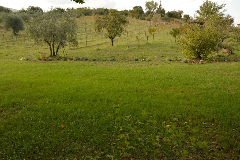 Agriturismo Riparossa Allerona Екстериор снимка