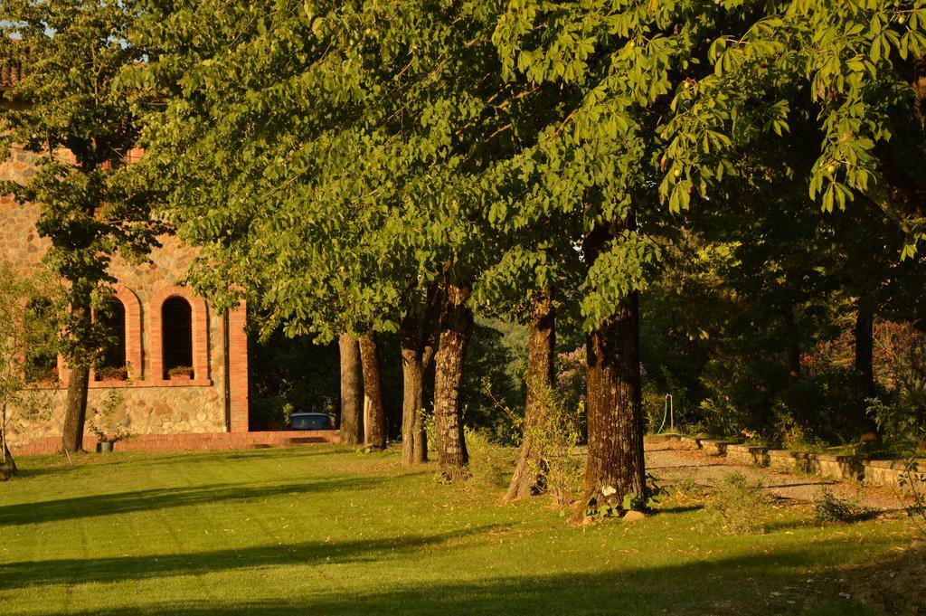 Agriturismo Riparossa Allerona Екстериор снимка