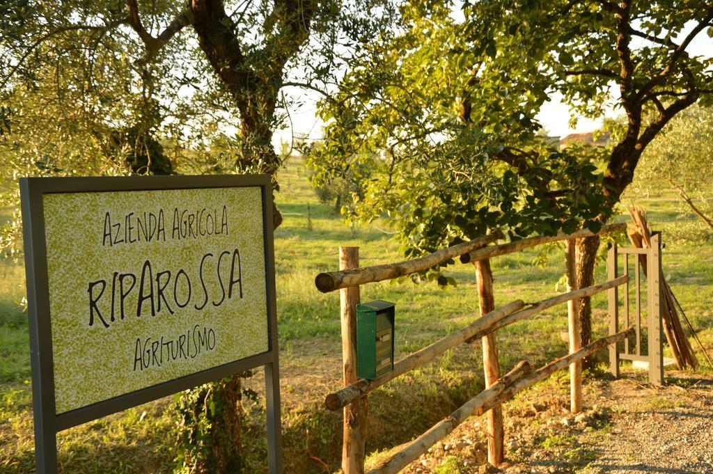 Agriturismo Riparossa Allerona Екстериор снимка