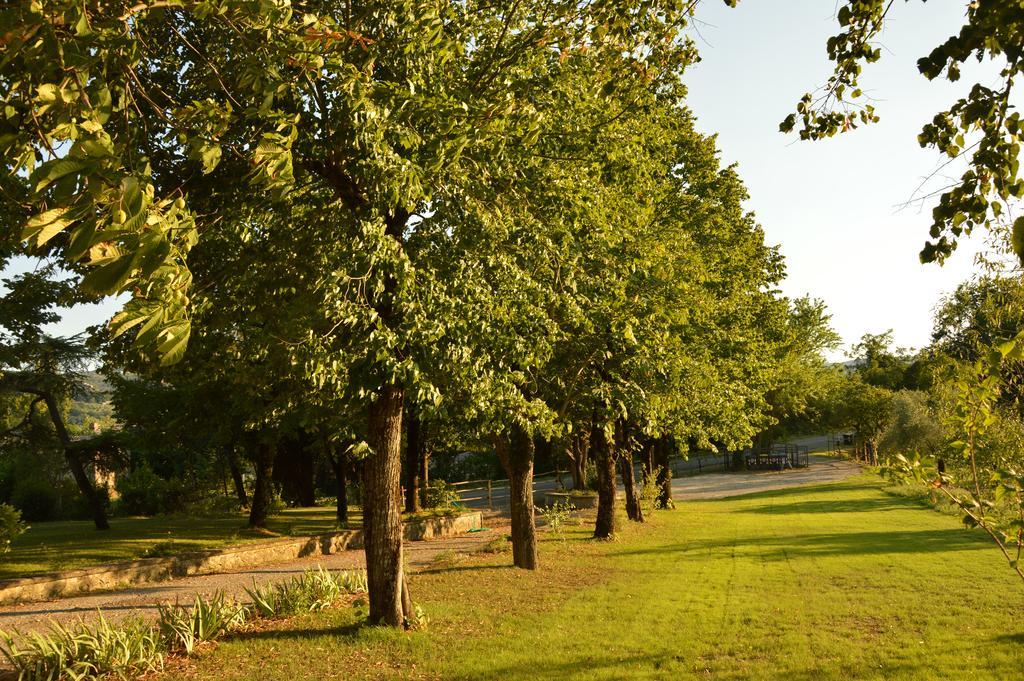 Agriturismo Riparossa Allerona Екстериор снимка