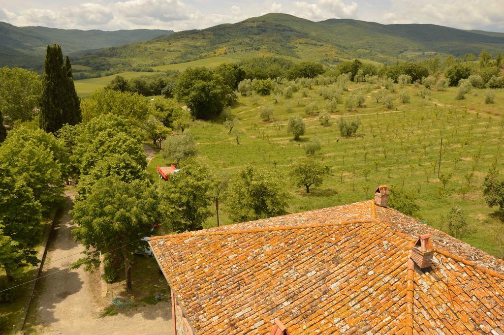 Agriturismo Riparossa Allerona Екстериор снимка