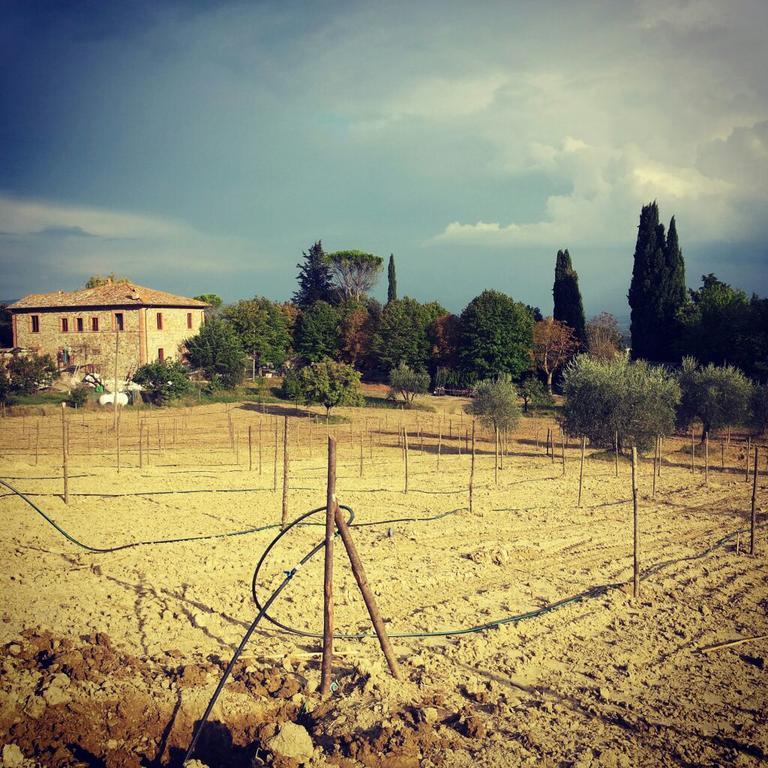 Agriturismo Riparossa Allerona Екстериор снимка