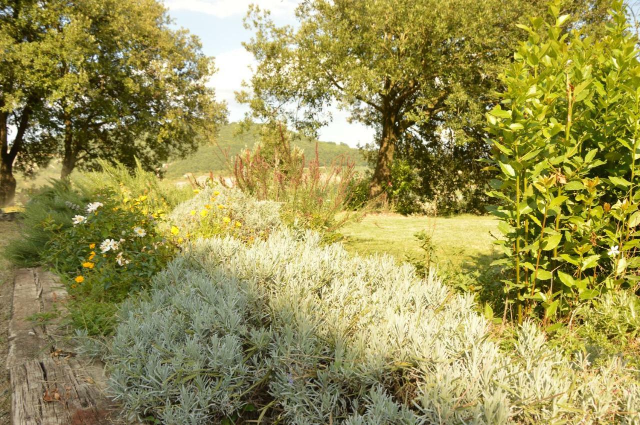 Agriturismo Riparossa Allerona Екстериор снимка