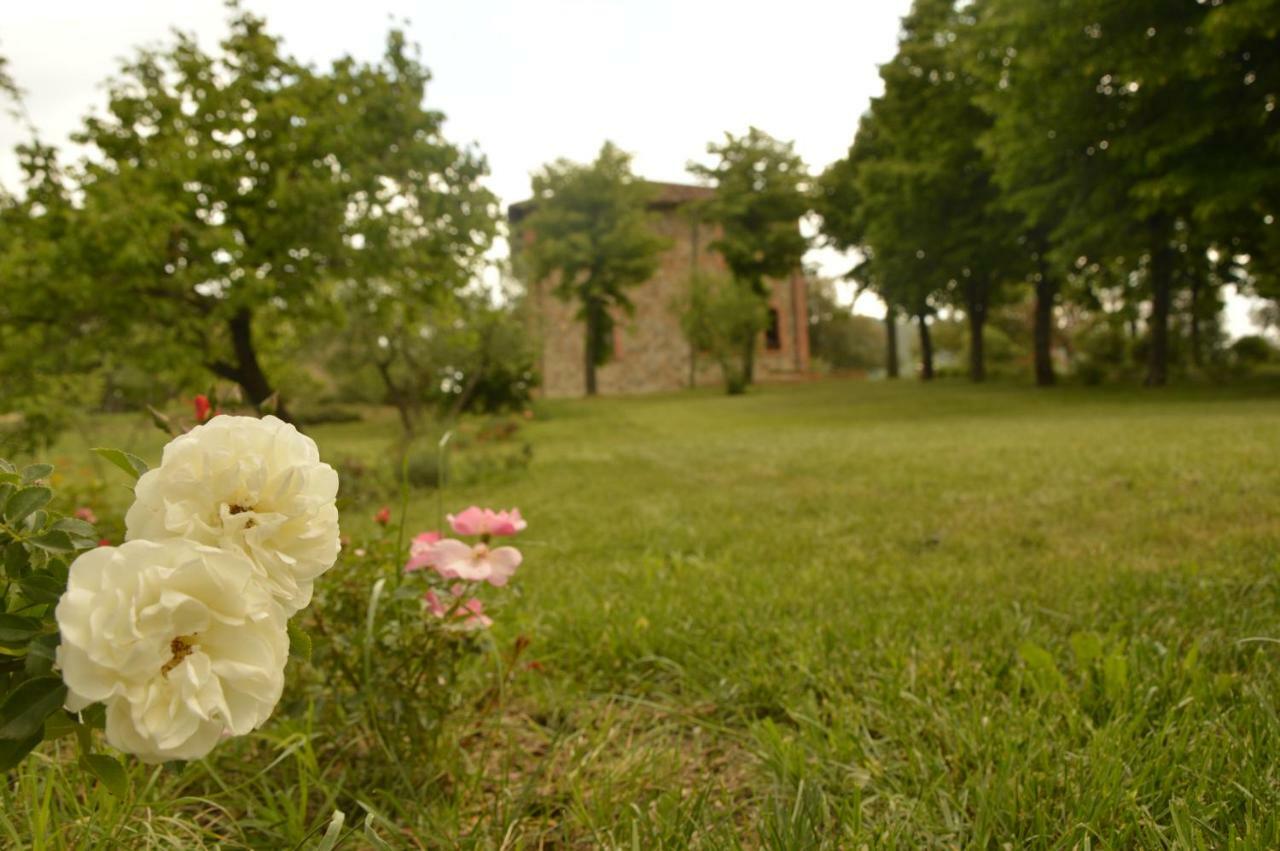 Agriturismo Riparossa Allerona Екстериор снимка